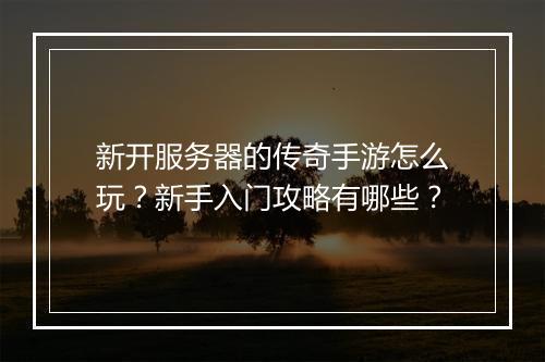 新开服务器的传奇手游怎么玩？新手入门攻略有哪些？