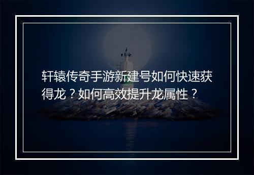 轩辕传奇手游新建号如何快速获得龙？如何高效提升龙属性？