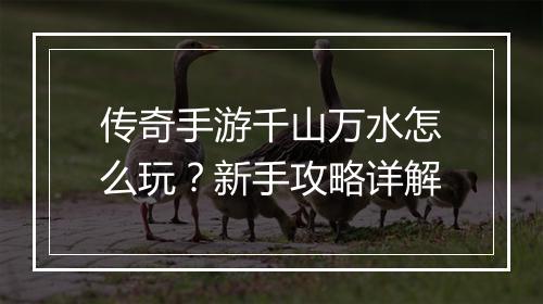 传奇手游千山万水怎么玩？新手攻略详解