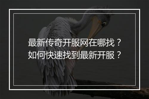 最新传奇开服网在哪找？如何快速找到最新开服？