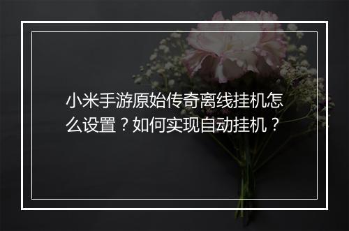 小米手游原始传奇离线挂机怎么设置？如何实现自动挂机？