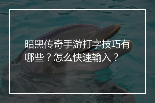暗黑传奇手游打字技巧有哪些？怎么快速输入？