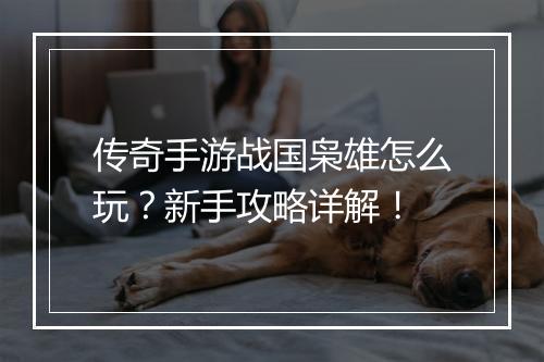 传奇手游战国枭雄怎么玩？新手攻略详解！