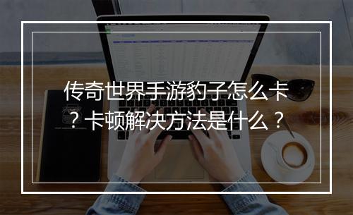 传奇世界手游豹子怎么卡？卡顿解决方法是什么？