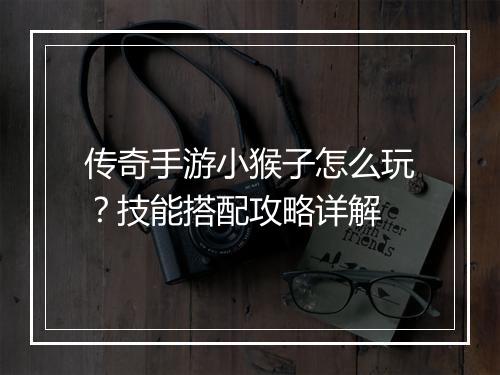 传奇手游小猴子怎么玩？技能搭配攻略详解