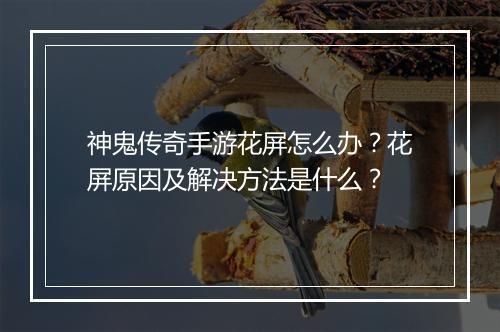 神鬼传奇手游花屏怎么办？花屏原因及解决方法是什么？