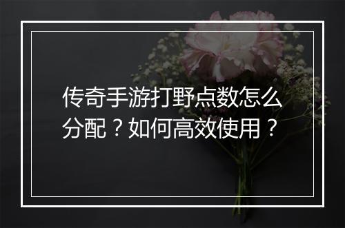 传奇手游打野点数怎么分配？如何高效使用？