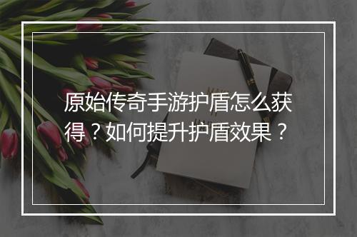 原始传奇手游护盾怎么获得？如何提升护盾效果？