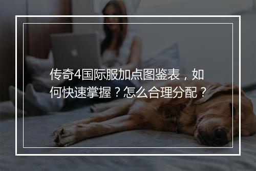 传奇4国际服加点图鉴表，如何快速掌握？怎么合理分配？