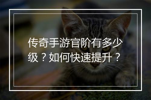 传奇手游官阶有多少级？如何快速提升？