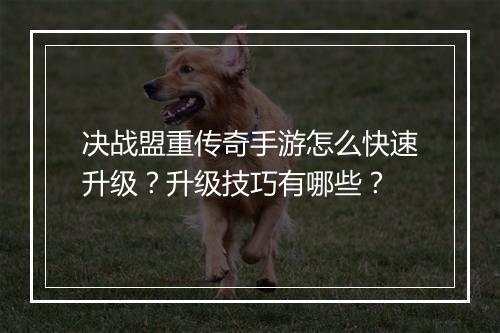决战盟重传奇手游怎么快速升级？升级技巧有哪些？