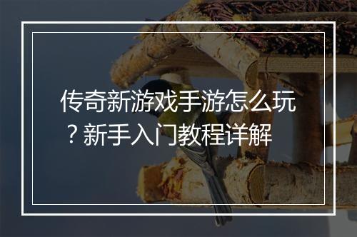 传奇新游戏手游怎么玩？新手入门教程详解
