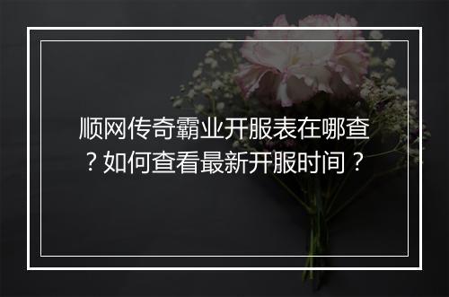 顺网传奇霸业开服表在哪查？如何查看最新开服时间？