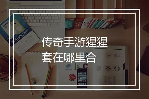 传奇手游猩猩套在哪里合