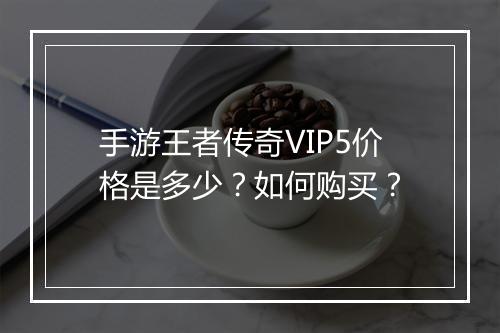 手游王者传奇VIP5价格是多少？如何购买？