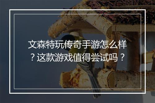 文森特玩传奇手游怎么样？这款游戏值得尝试吗？