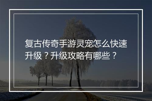 复古传奇手游灵宠怎么快速升级？升级攻略有哪些？