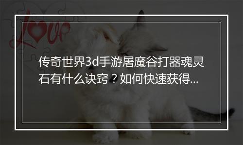 传奇世界3d手游屠魔谷打器魂灵石有什么诀窍？如何快速获得？