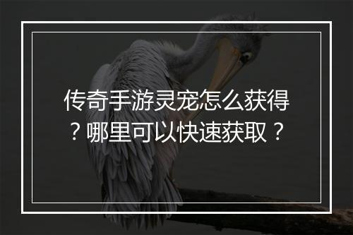 传奇手游灵宠怎么获得？哪里可以快速获取？