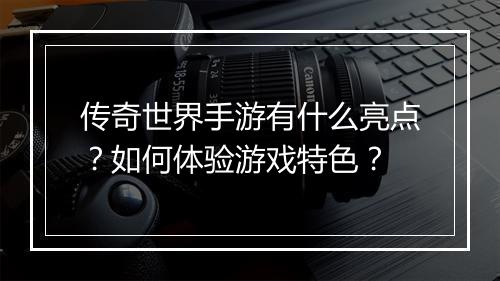 传奇世界手游有什么亮点？如何体验游戏特色？
