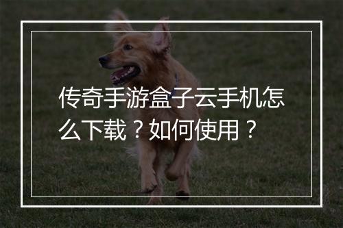 传奇手游盒子云手机怎么下载？如何使用？