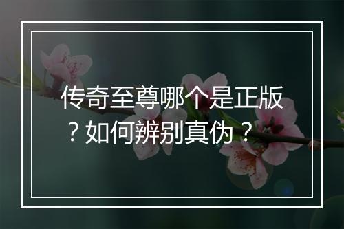 传奇至尊哪个是正版？如何辨别真伪？