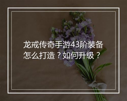 龙戒传奇手游43阶装备怎么打造？如何升级？