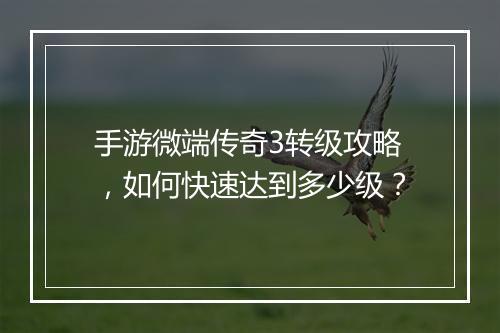 手游微端传奇3转级攻略，如何快速达到多少级？