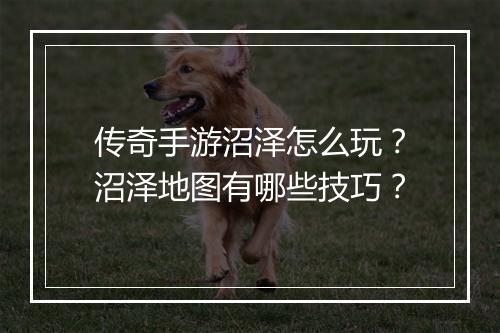 传奇手游沼泽怎么玩？沼泽地图有哪些技巧？