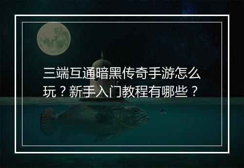 三端互通暗黑传奇手游怎么玩？新手入门教程有哪些？