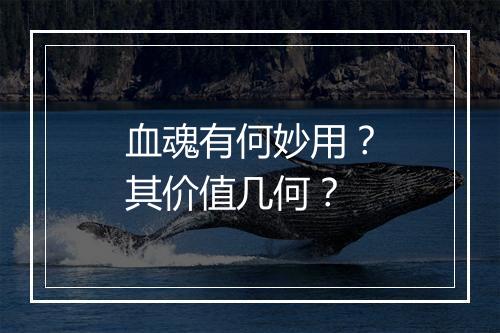 血魂有何妙用？其价值几何？