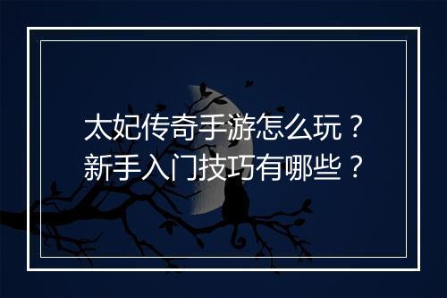 太妃传奇手游怎么玩？新手入门技巧有哪些？