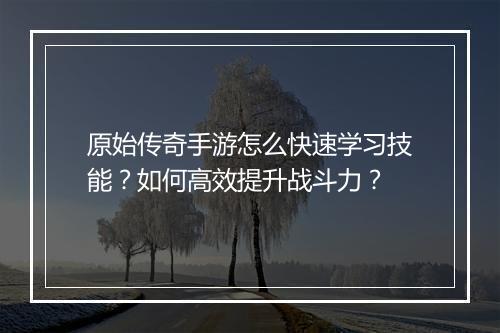 原始传奇手游怎么快速学习技能？如何高效提升战斗力？