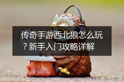 传奇手游西北狼怎么玩？新手入门攻略详解