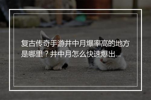 复古传奇手游井中月爆率高的地方是哪里？井中月怎么快速爆出？