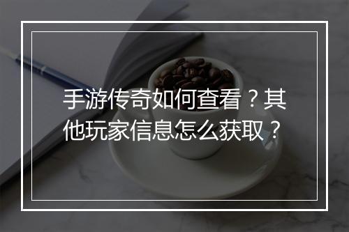 手游传奇如何查看？其他玩家信息怎么获取？