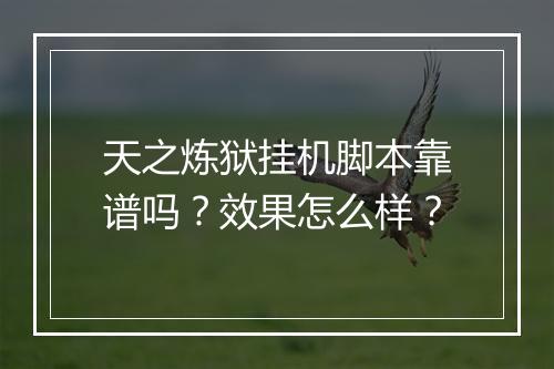 天之炼狱挂机脚本靠谱吗？效果怎么样？