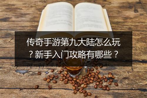 传奇手游第九大陆怎么玩？新手入门攻略有哪些？