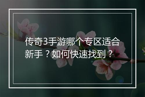 传奇3手游哪个专区适合新手?如何快速找到?