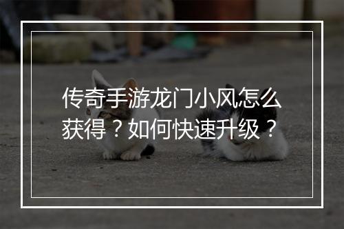 传奇手游龙门小风怎么获得？如何快速升级？