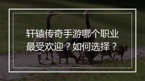 轩辕传奇手游哪个职业最受欢迎？如何选择？