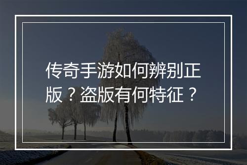传奇手游如何辨别正版？盗版有何特征？