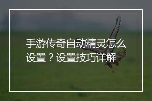 手游传奇自动精灵怎么设置？设置技巧详解