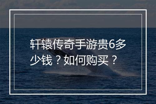 轩辕传奇手游贵6多少钱？如何购买？
