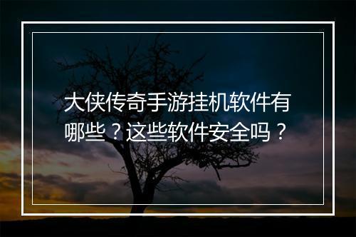 大侠传奇手游挂机软件有哪些？这些软件安全吗？