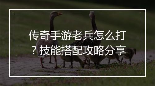 传奇手游老兵怎么打？技能搭配攻略分享