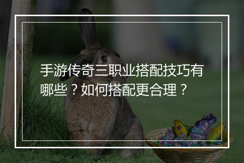 手游传奇三职业搭配技巧有哪些？如何搭配更合理？