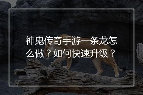 神鬼传奇手游一条龙怎么做？如何快速升级？