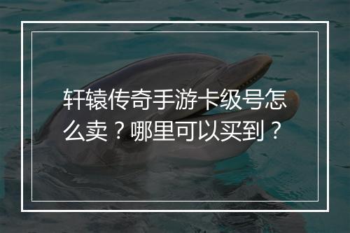 轩辕传奇手游卡级号怎么卖？哪里可以买到？