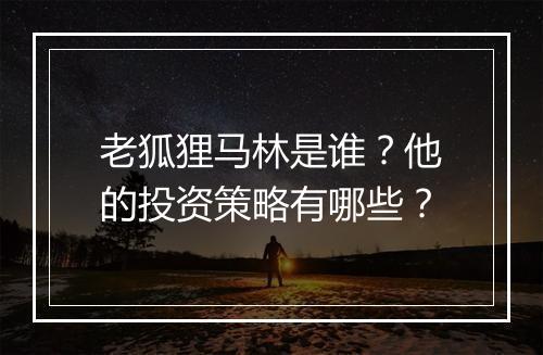 老狐狸马林是谁？他的投资策略有哪些？